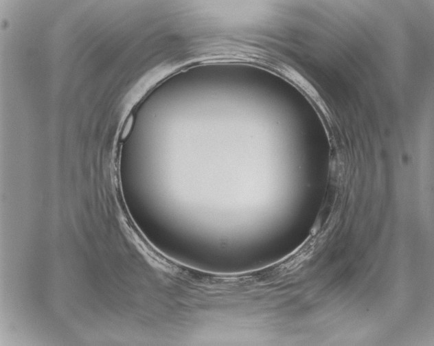 X0000059051485200510171901