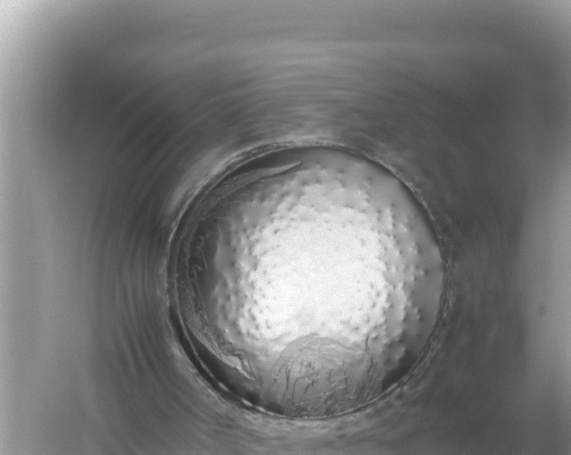 X0000059050002200510212012