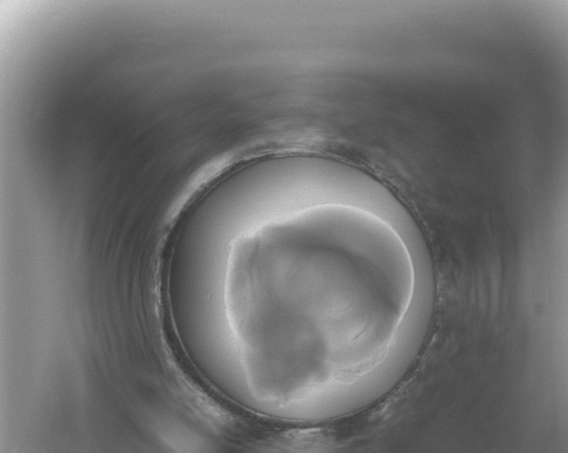 X0000059050054200510212011