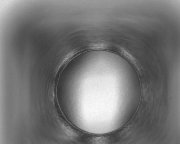 X0000059050059200510212011