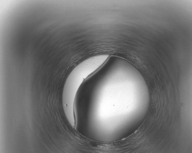X0000059050079200510212011