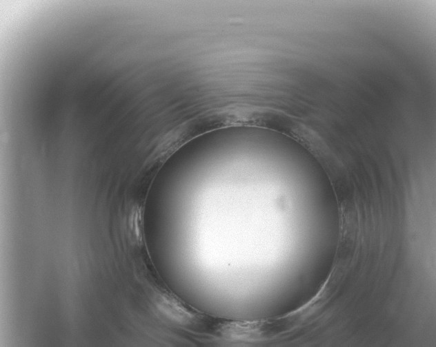 X0000059050094200510212011