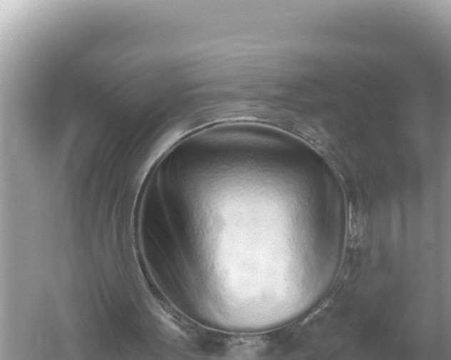 X0000059050099200510212011
