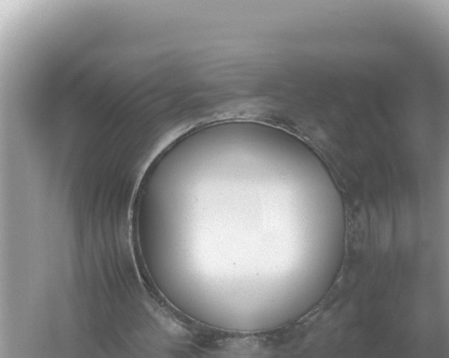 X0000059050100200510212011