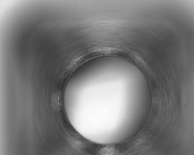 X0000059050119200510212010