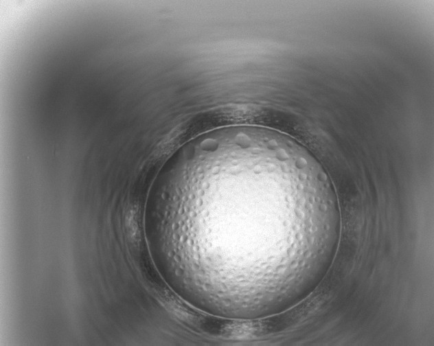 X0000059050131200510212010