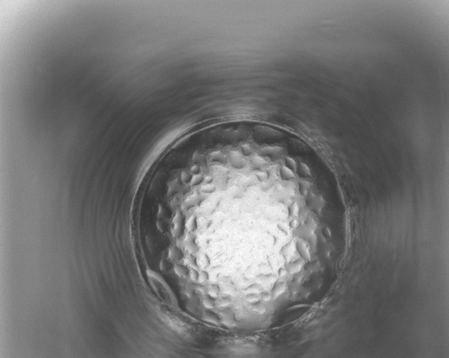 X0000059050147200510212009