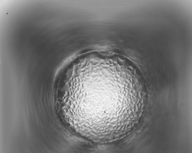 X0000059050149200510212009