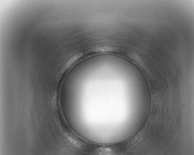 X0000059050159200510212009