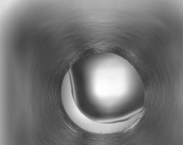 X0000059050186200510212010