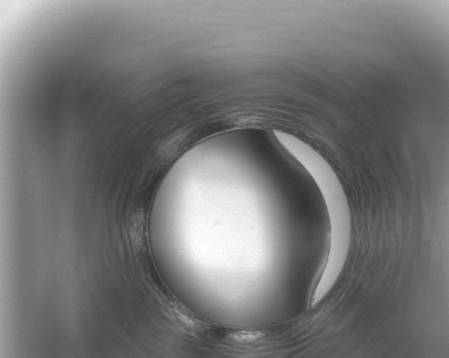 X0000059050189200510212010