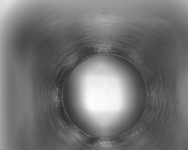 X0000059050228200510212008