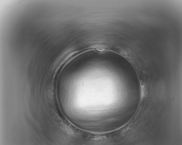 X0000059050243200510212007