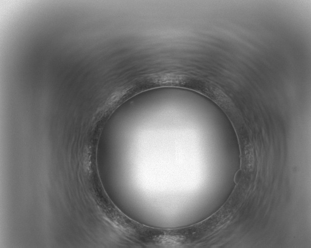 X0000059050255200510212008
