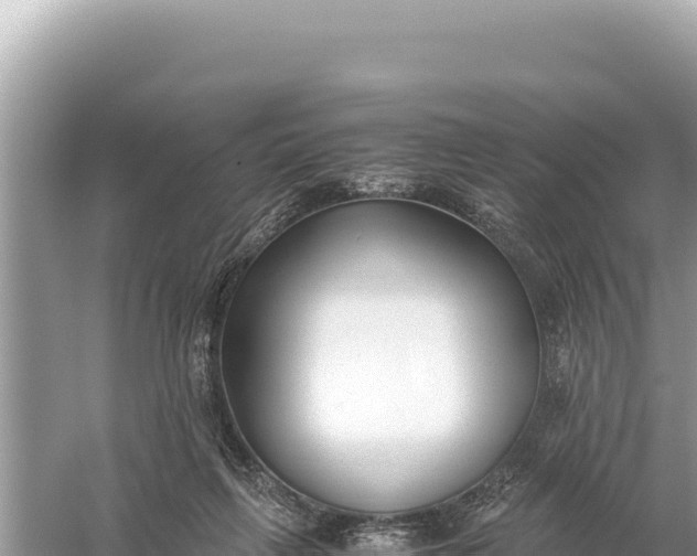 X0000059050263200510212008