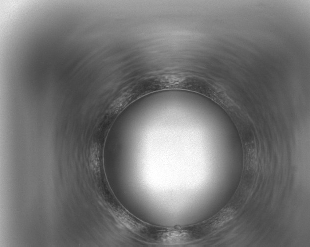 X0000059050274200510212008