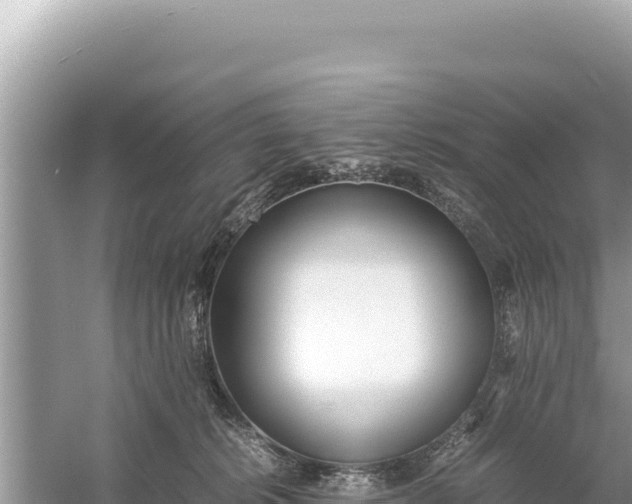 X0000059050276200510212008