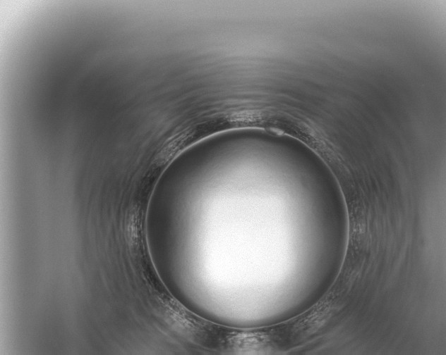 X0000059050277200510212008