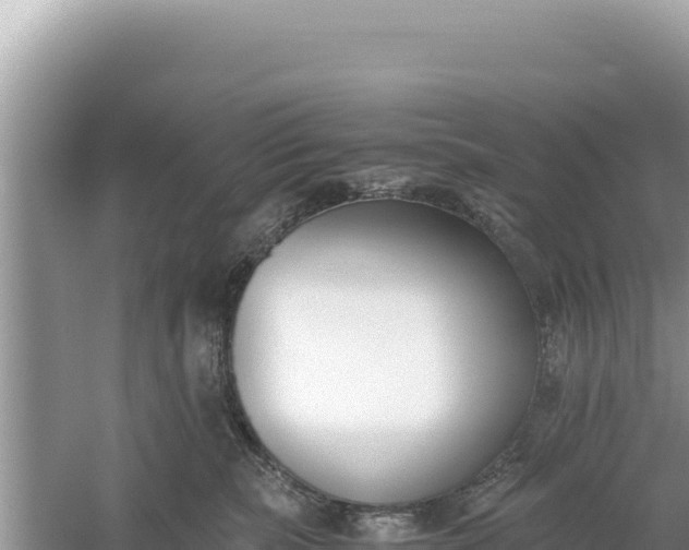 X0000059050283200510212008