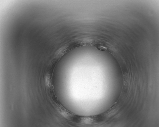 X0000059050287200510212008