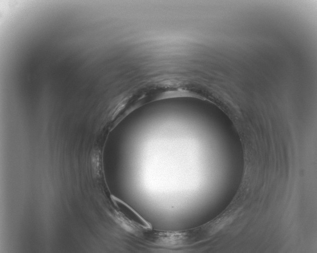 X0000059050288200510212008