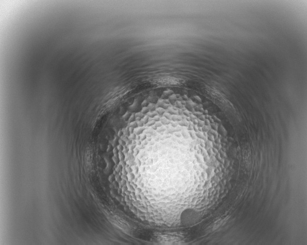 X0000059050359200510212006