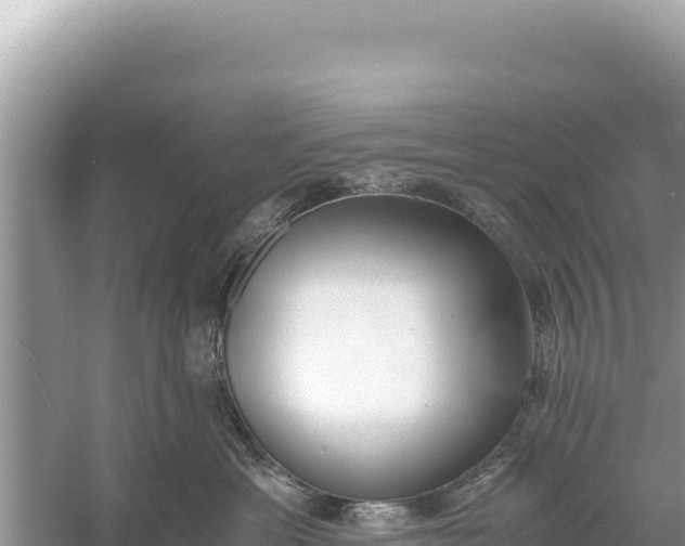 X0000059050429200510212005