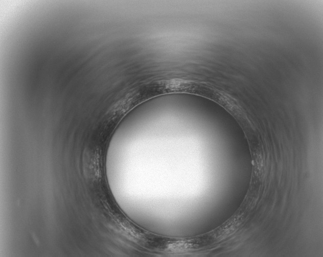 X0000059050470200510212005