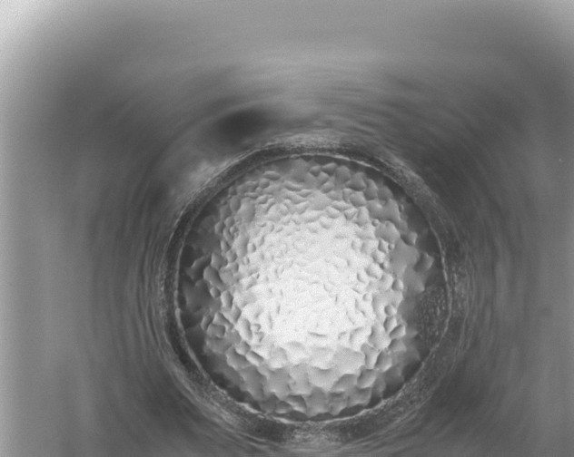 X0000059050487200510212004