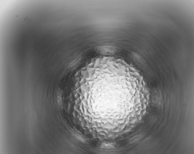 X0000059050573200510212003