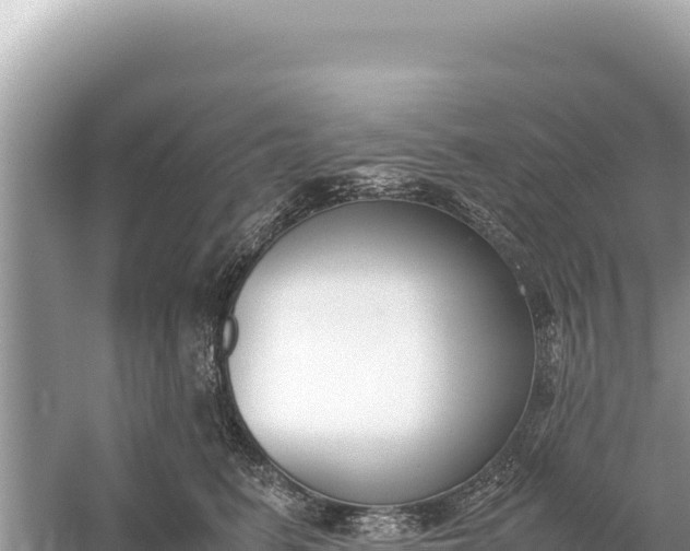 X0000059050615200510212002