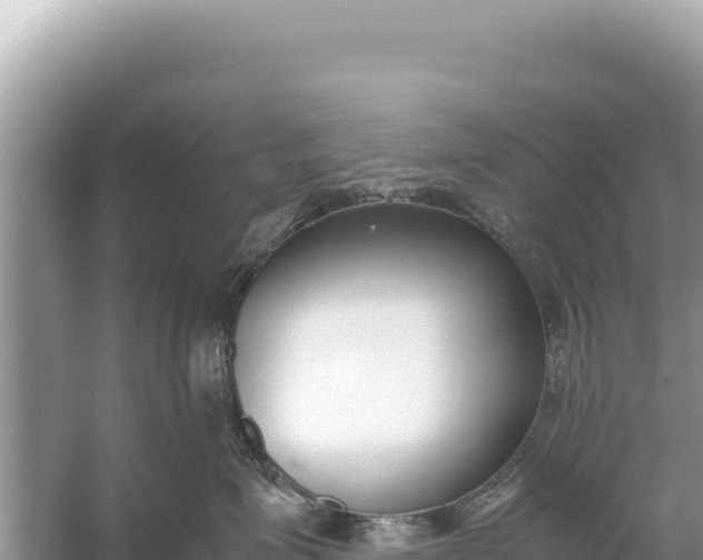 X0000059050623200510212002