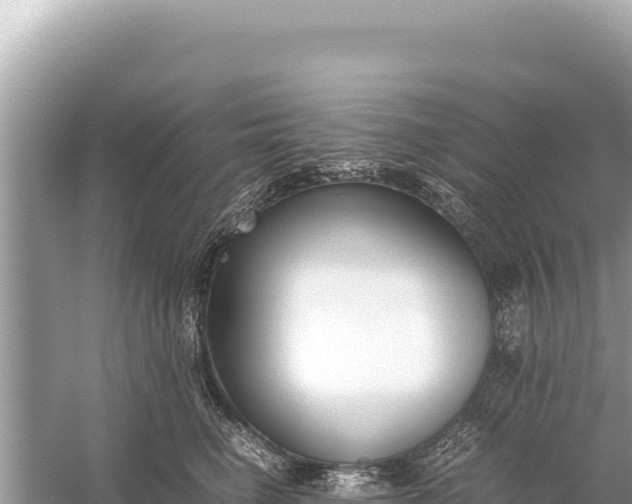 X0000059050662200510212001