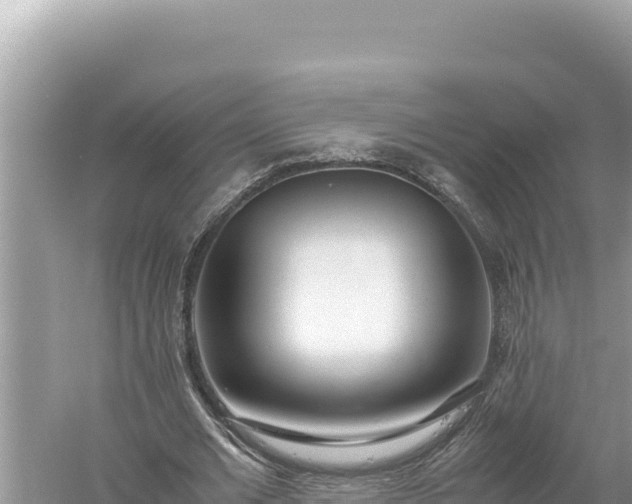 X0000059050677200510212001