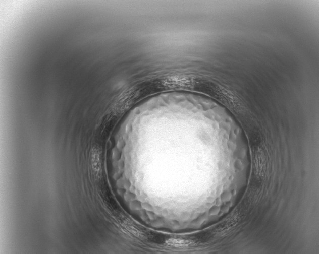 X0000059050699200510212000