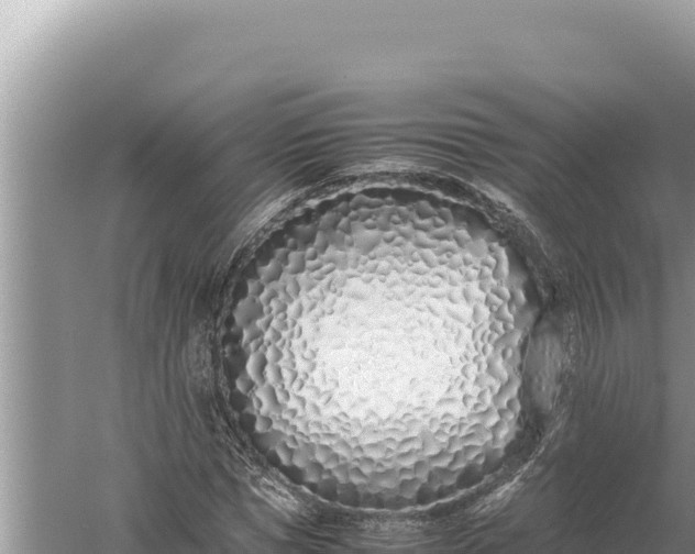 X0000059050921200510211956