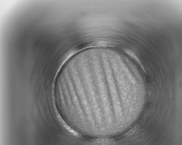 X0000059051091200510211954