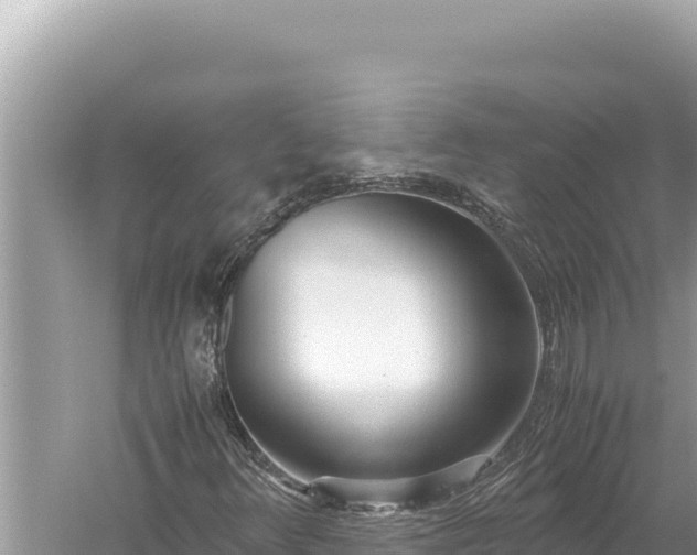 X0000059051348200510211949