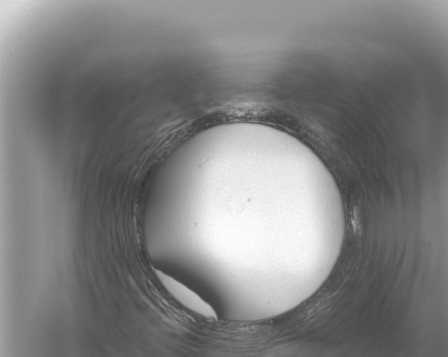 X0000059051396200510211948