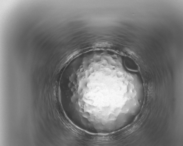 X0000059051401200510211948