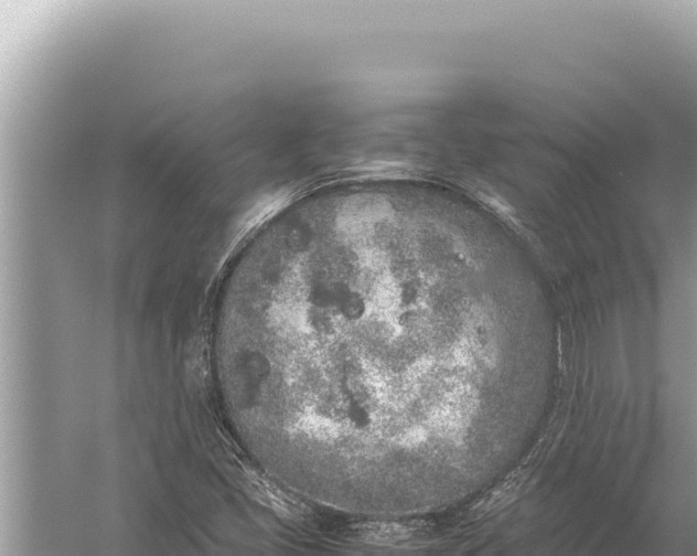 X0000059051405200510211948