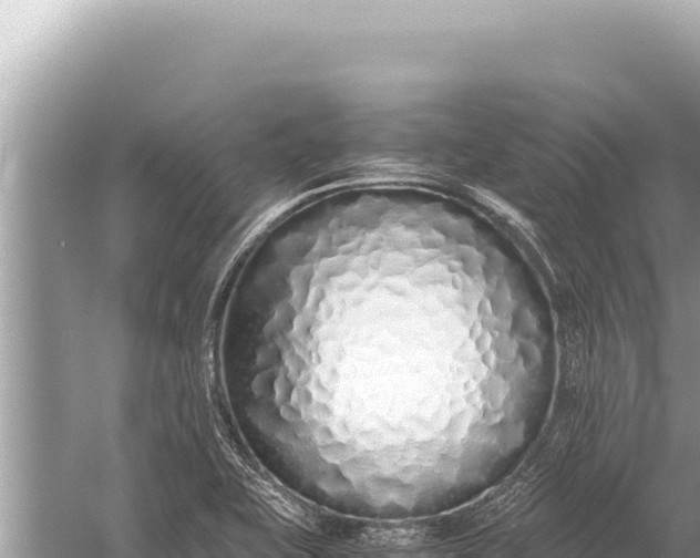 X0000059051415200510211948