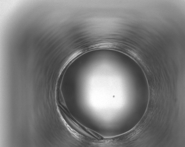 X0000059051426200510211948