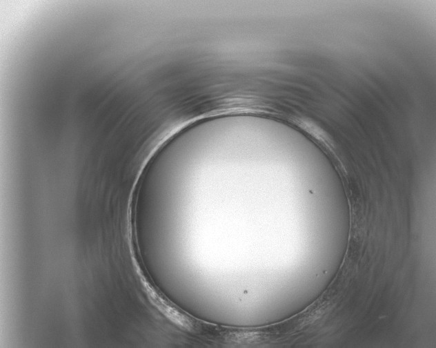 X0000059051431200510211948