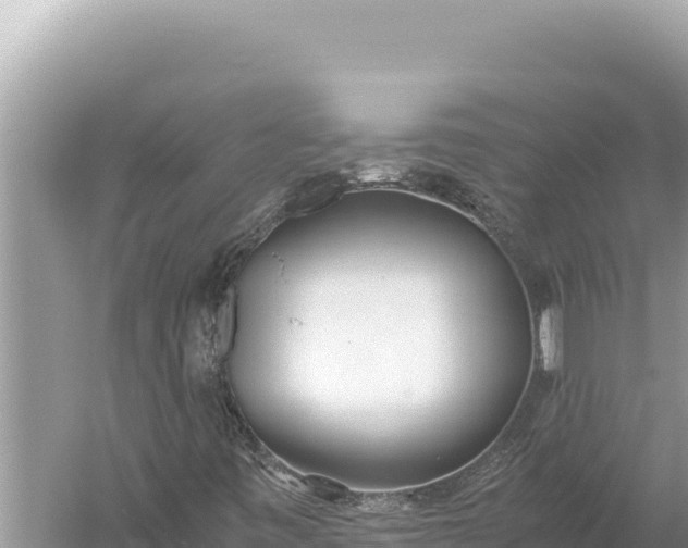 X0000059051443200510211948