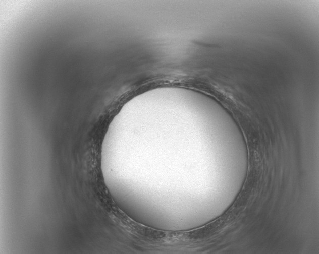 X0000059051447200510211948