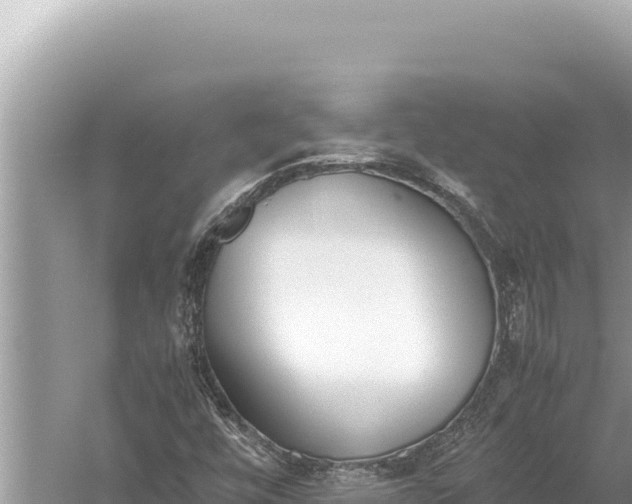 X0000059051448200510211948