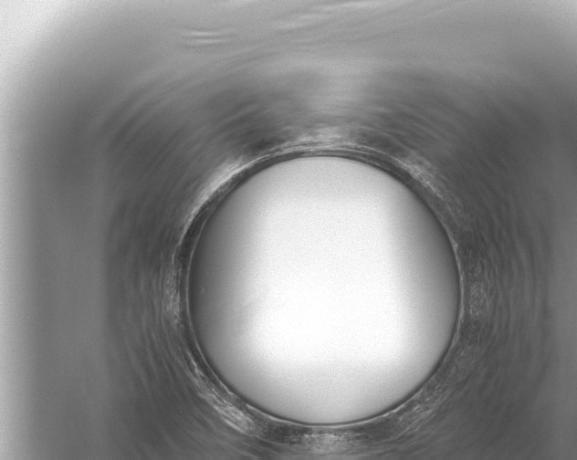 X0000059051458200510211947