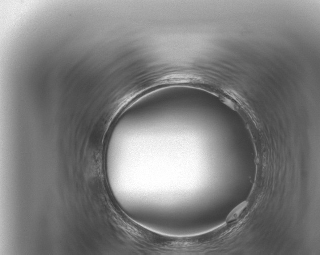 X0000059051465200510211947