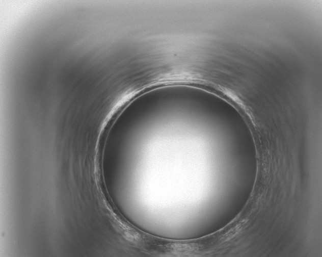 X0000059051469200510211947